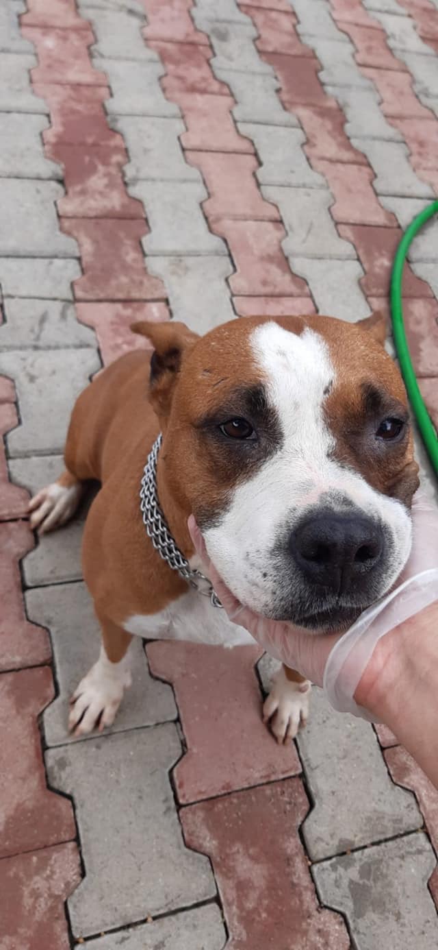 peppina!! 6 anni molto dolce!!